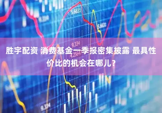 胜宇配资 消费基金一季报密集披露 最具性价比的机会在哪儿？